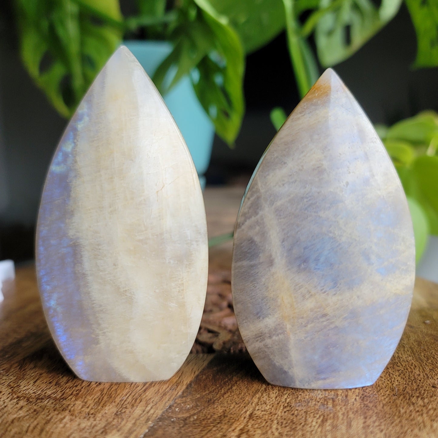 Moonstone Free Form: Illuminating Serenity and Feminine Energy