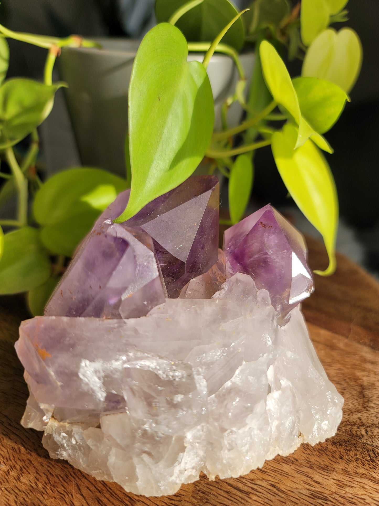 Amethyst Cluster: Majestic Purple Elegance and Spiritual Harmony