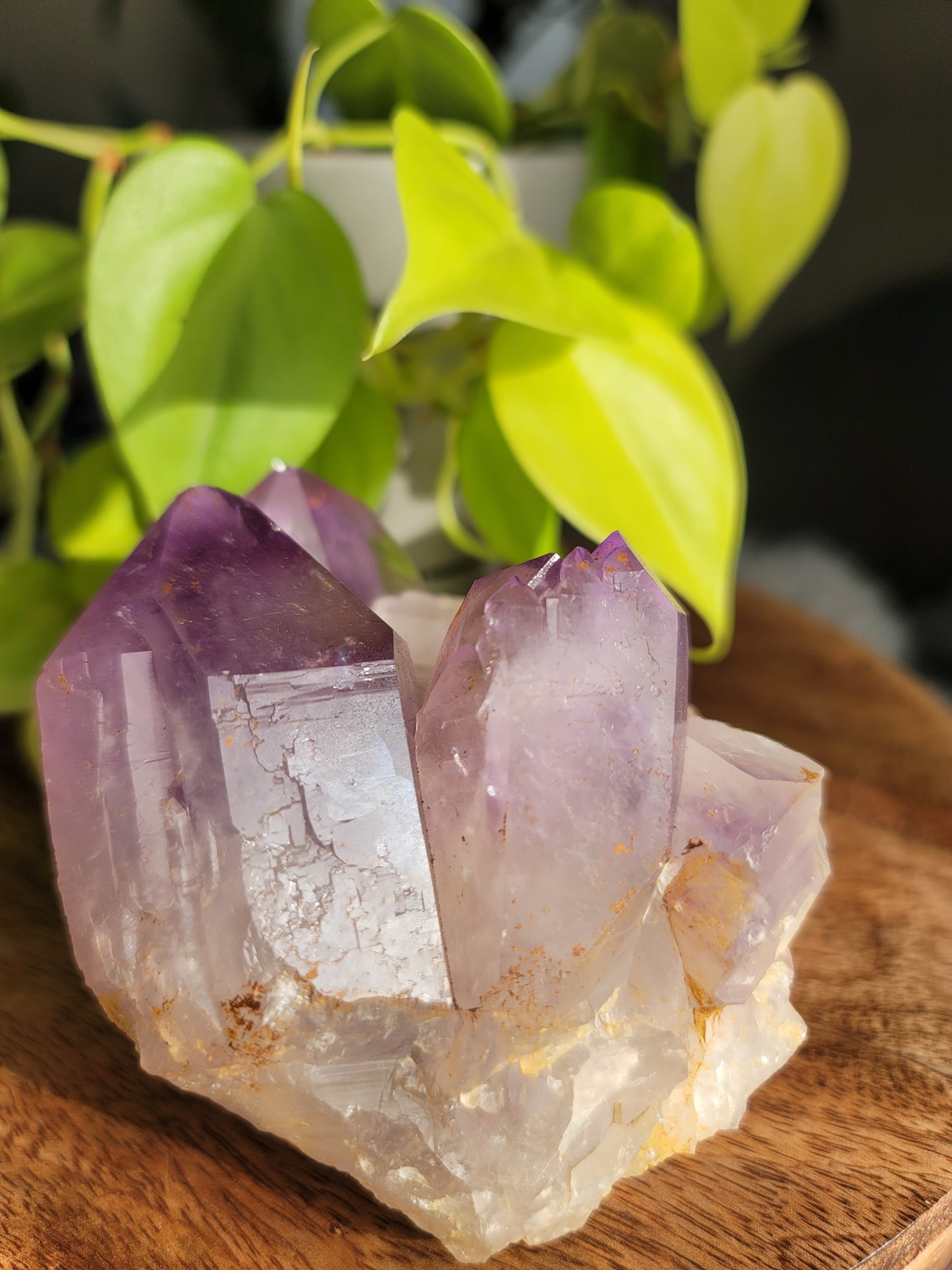 Amethyst Cluster: Majestic Purple Elegance and Spiritual Harmony