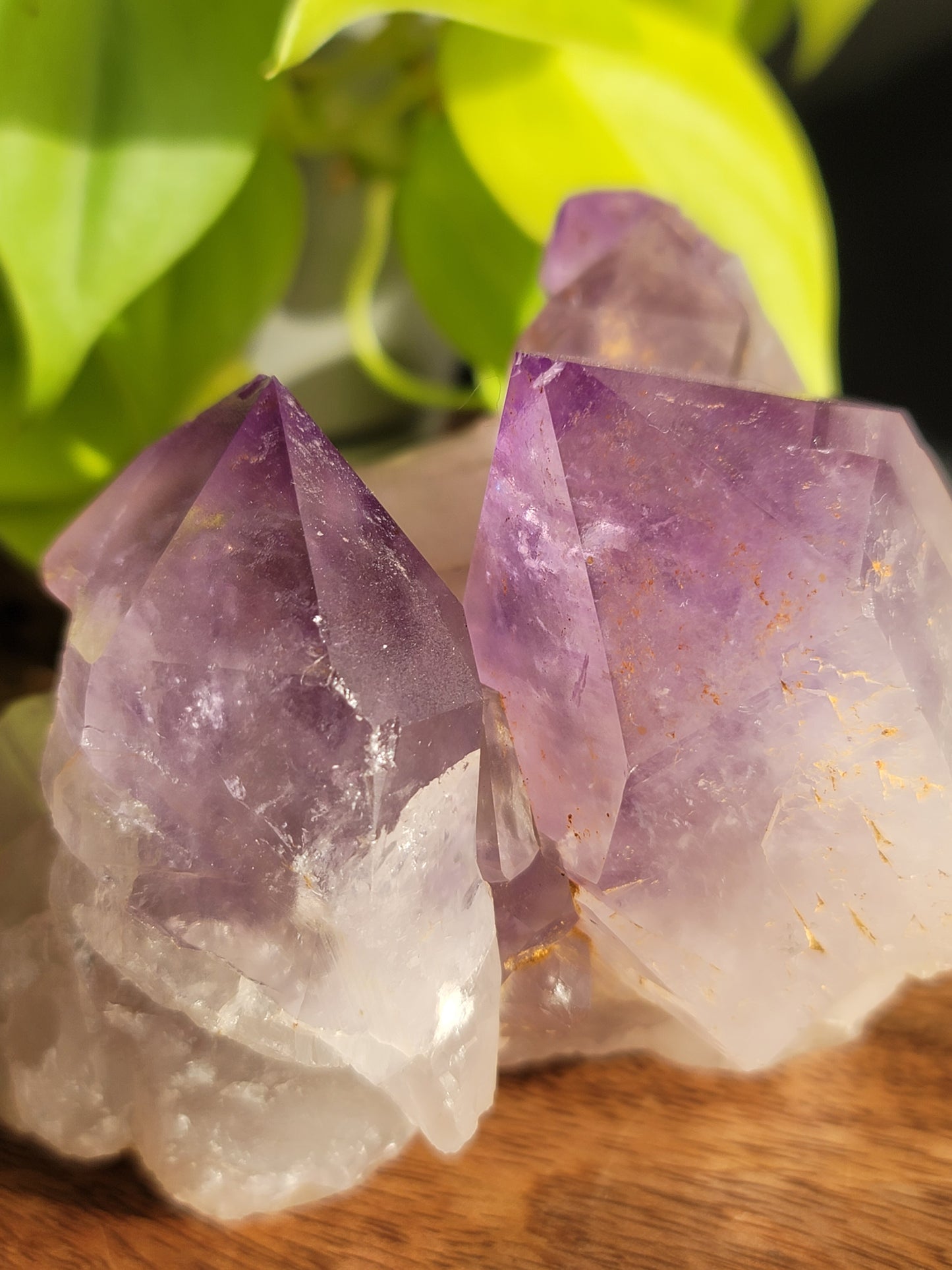 Amethyst Cluster: Majestic Purple Elegance and Spiritual Harmony