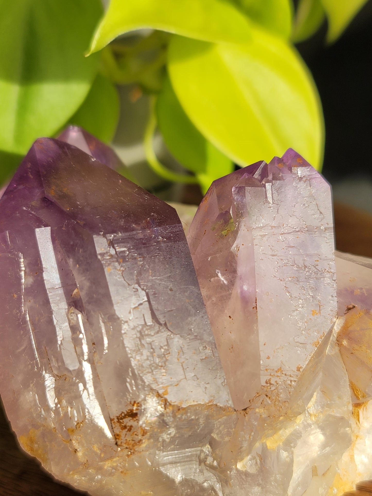 Amethyst Cluster: Majestic Purple Elegance and Spiritual Harmony