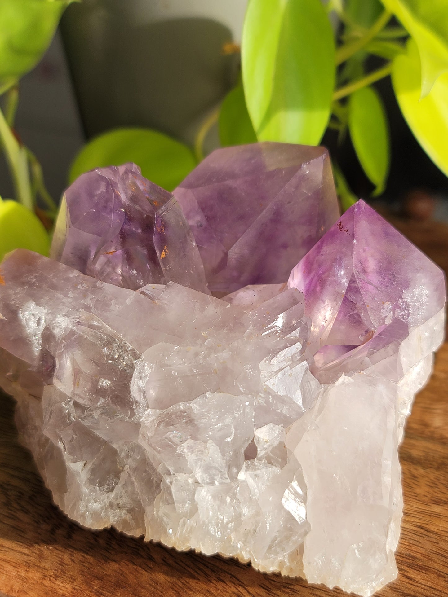 Amethyst Cluster: Majestic Purple Elegance and Spiritual Harmony