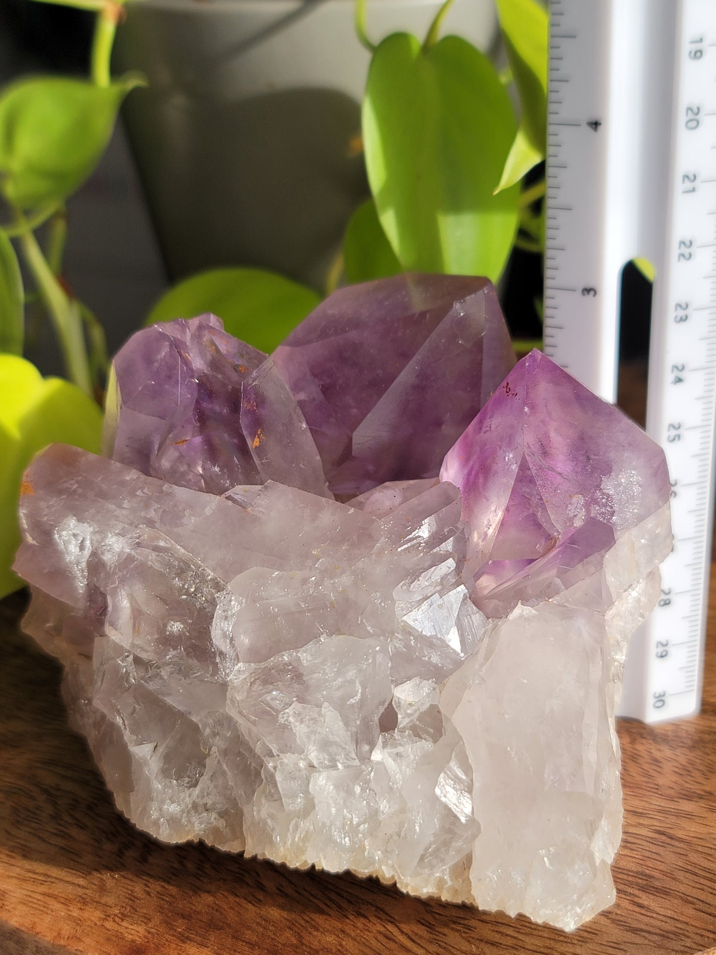 Amethyst Cluster: Majestic Purple Elegance and Spiritual Harmony