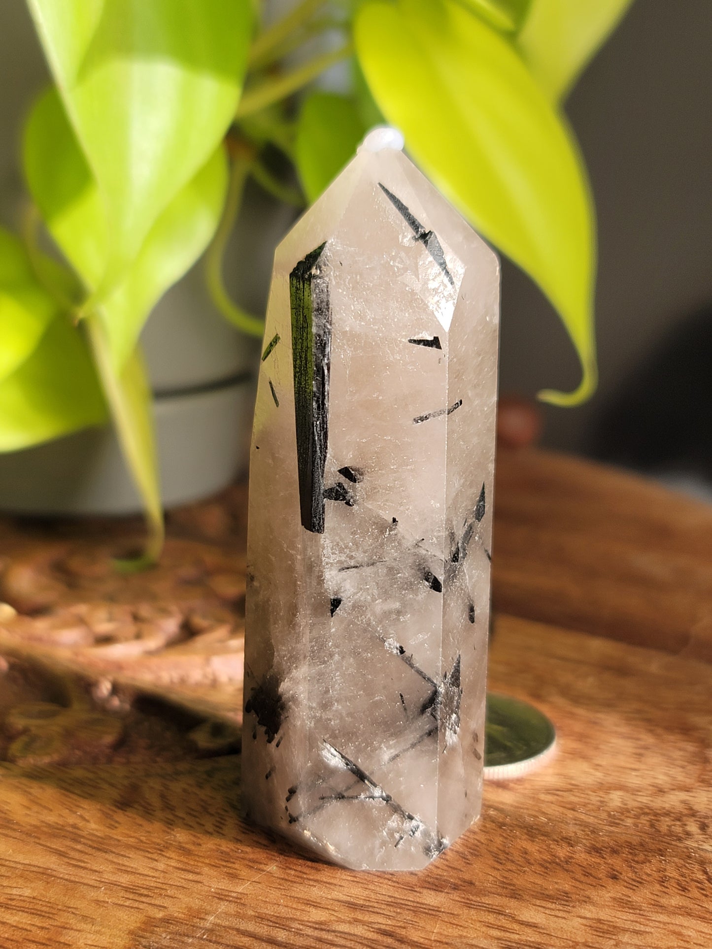 Black Tourmaline Quartz Point: Harmonious Protection and Grounding Energy 3"