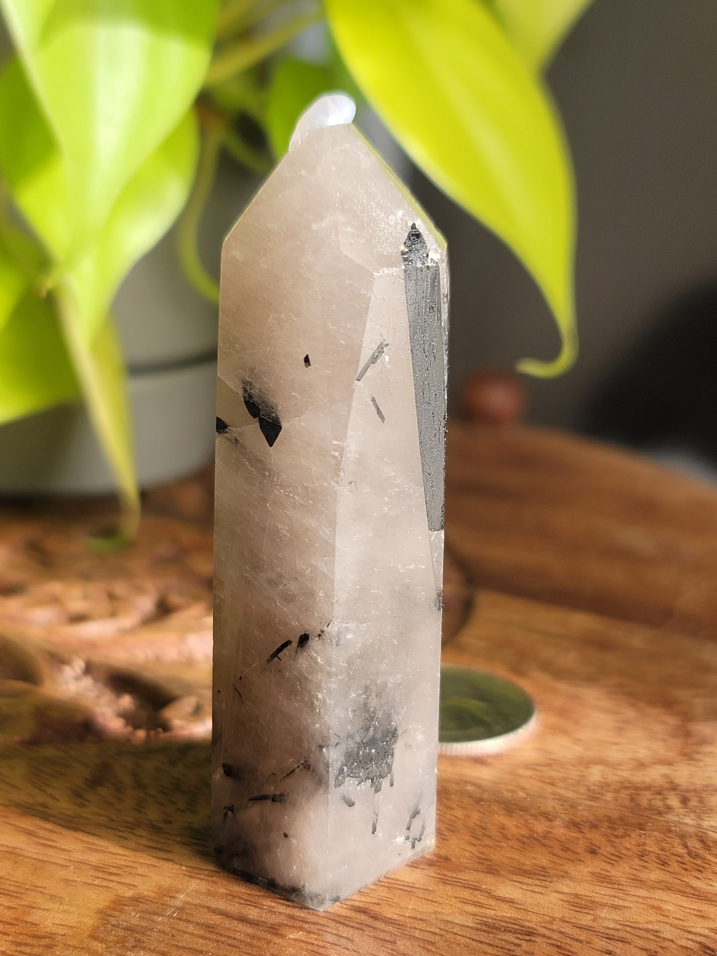 Black Tourmaline Quartz Point: Harmonious Protection and Grounding Energy 3"