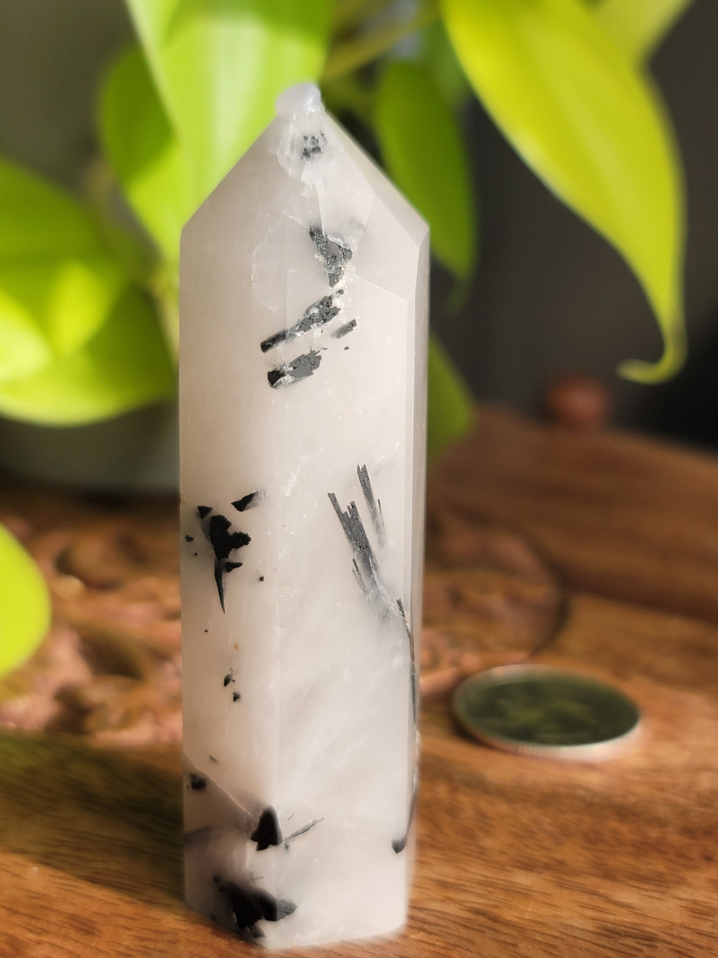 Black Tourmaline Quartz Point: Harmonious Protection and Grounding Energy 3"