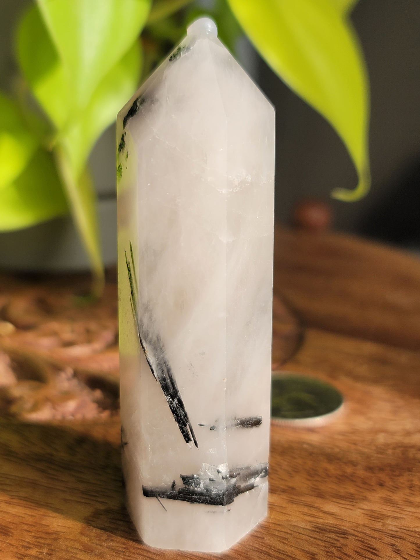 Black Tourmaline Quartz Point: Harmonious Protection and Grounding Energy 3"