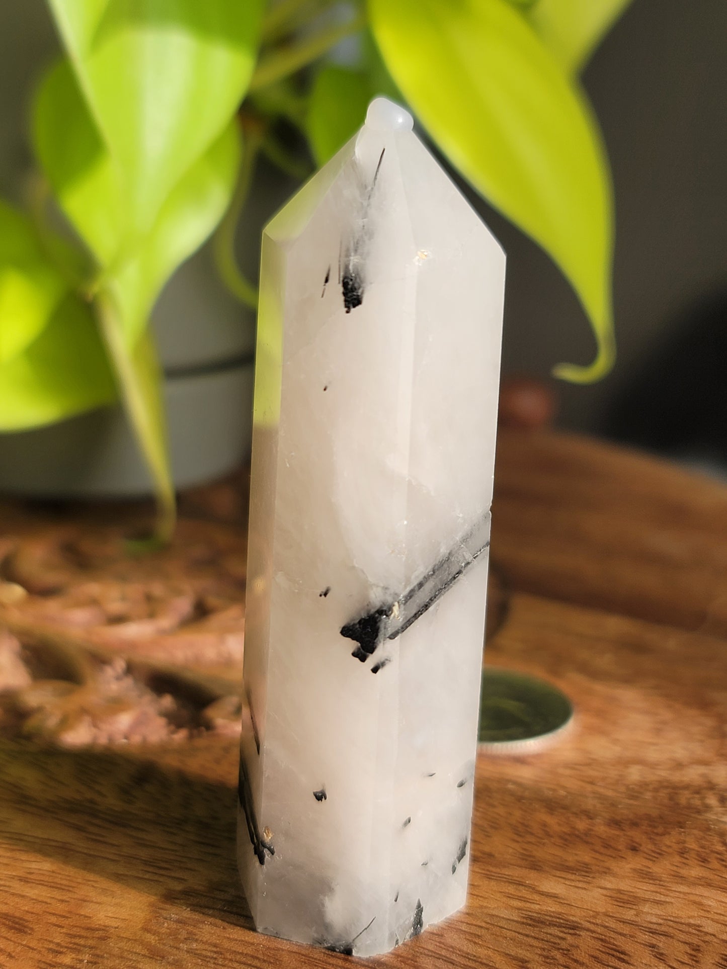 Black Tourmaline Quartz Point: Harmonious Protection and Grounding Energy 3"