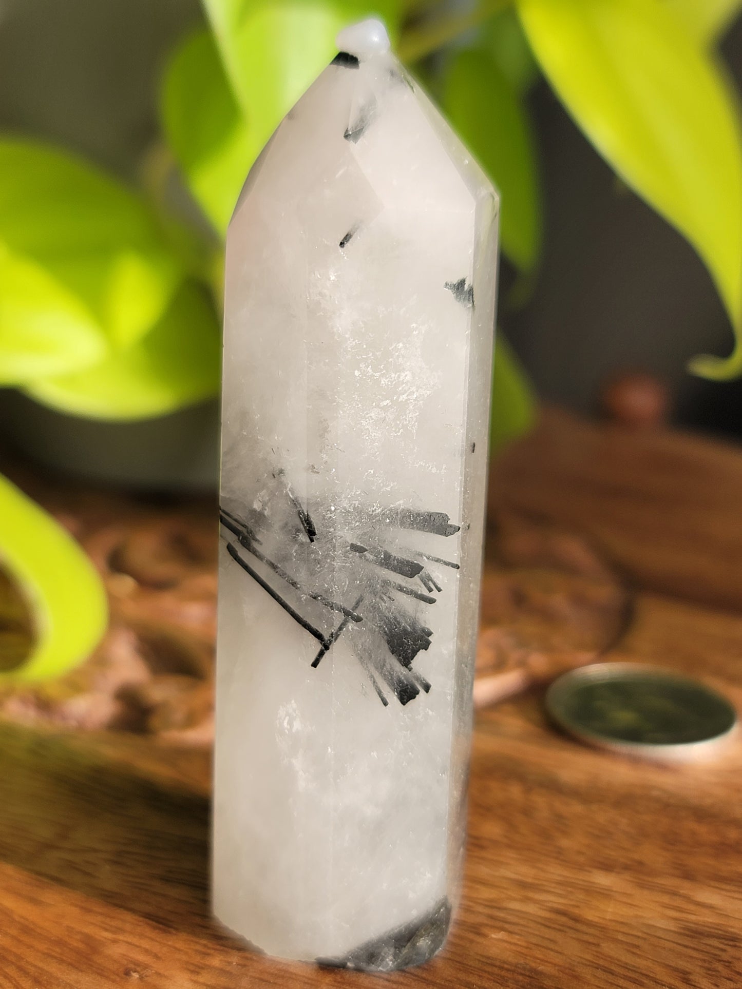 Black Tourmaline Quartz Point: Harmonious Protection and Grounding Energy 3"