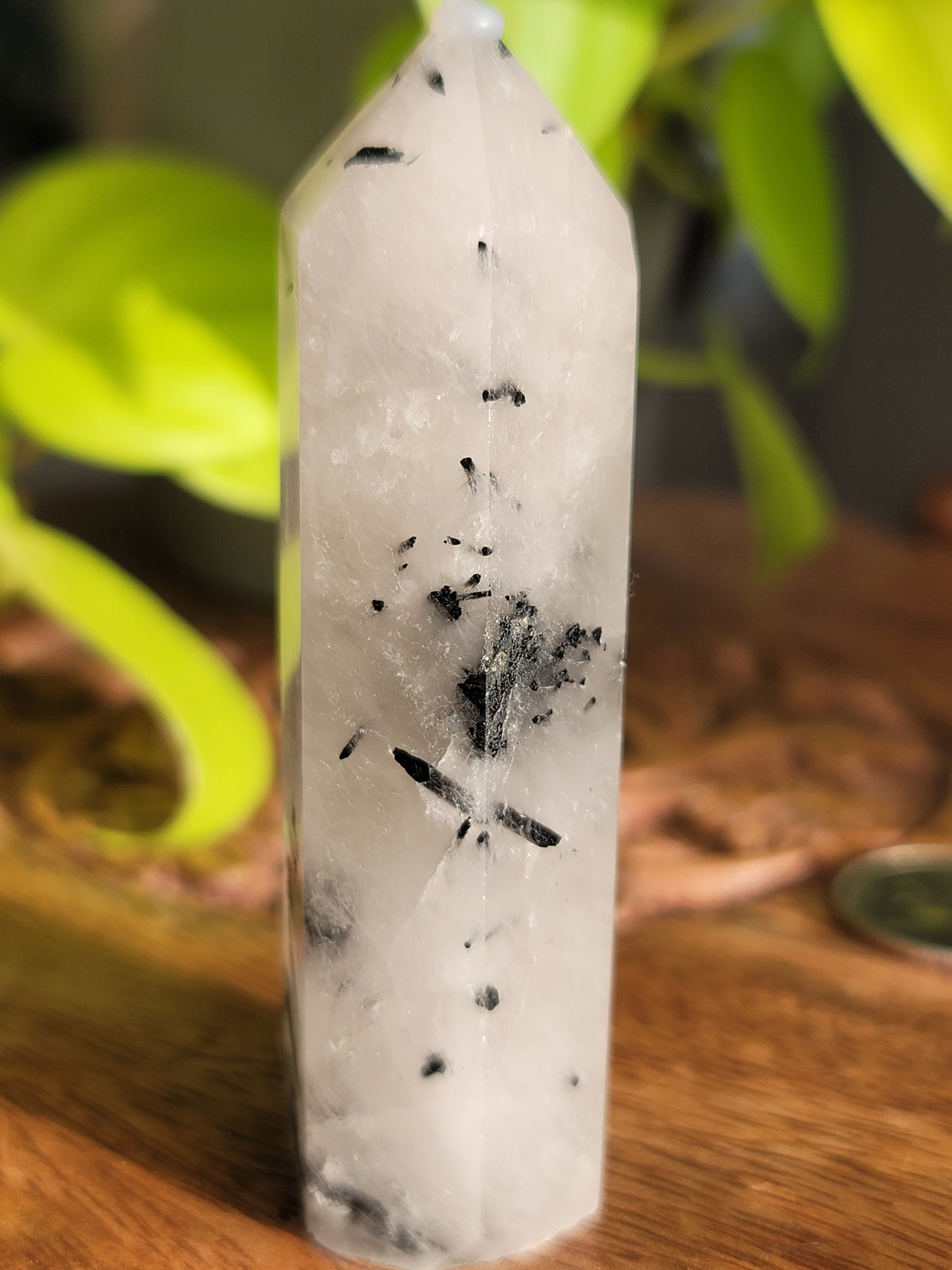 Black Tourmaline Quartz Point: Harmonious Protection and Grounding Energy 3"