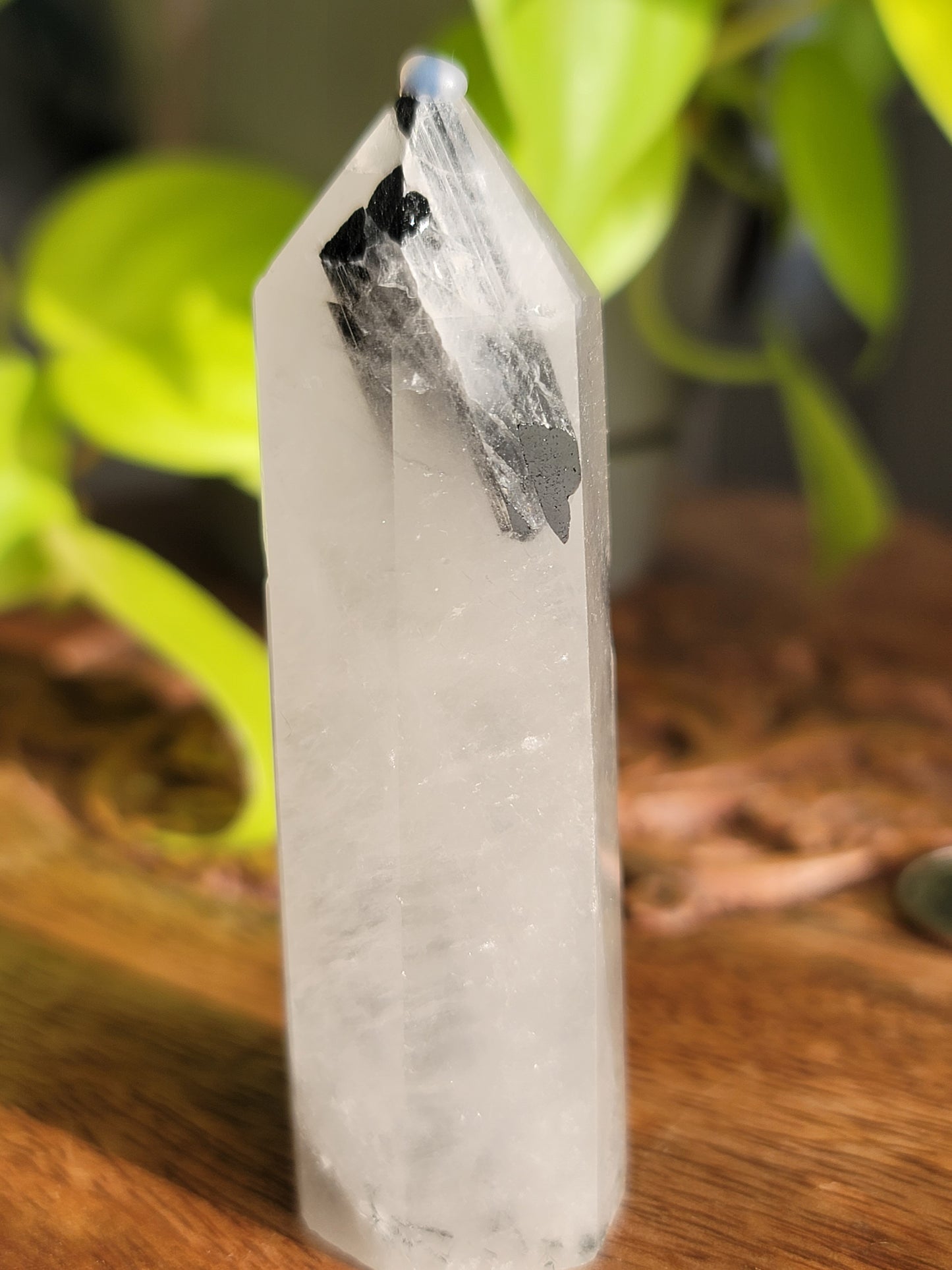 Black Tourmaline Quartz Point: Harmonious Protection and Grounding Energy 3"