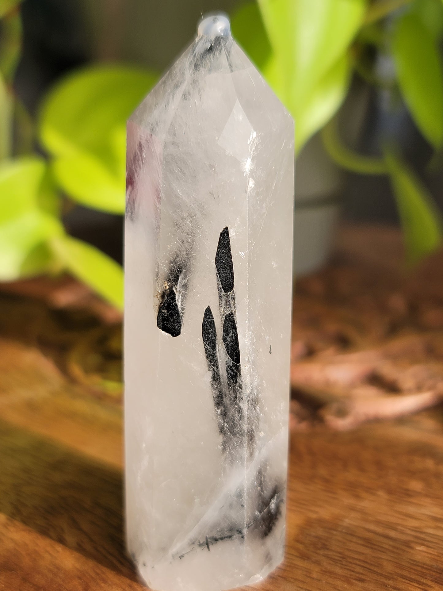 Black Tourmaline Quartz Point: Harmonious Protection and Grounding Energy 3"