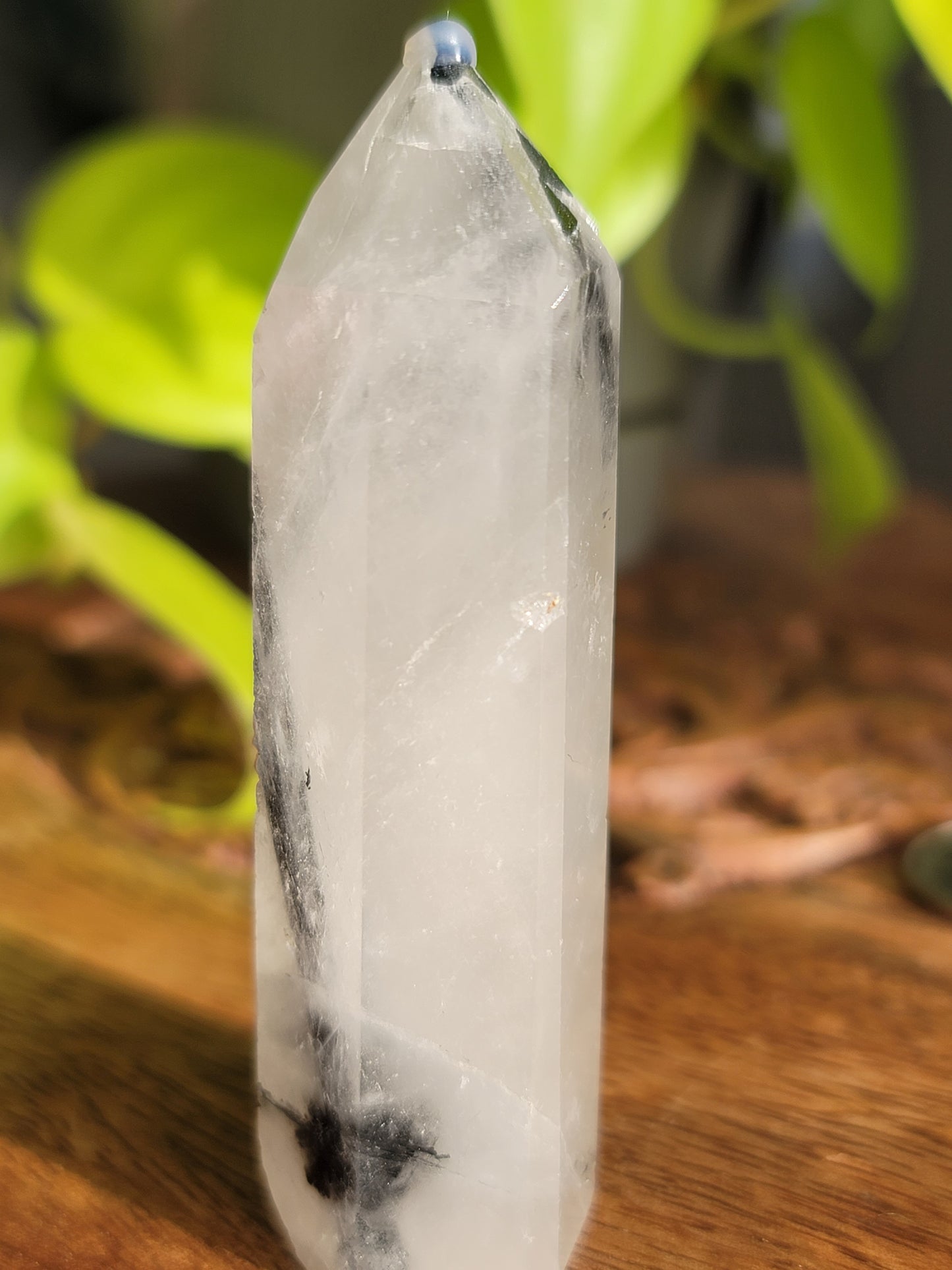 Black Tourmaline Quartz Point: Harmonious Protection and Grounding Energy 3"
