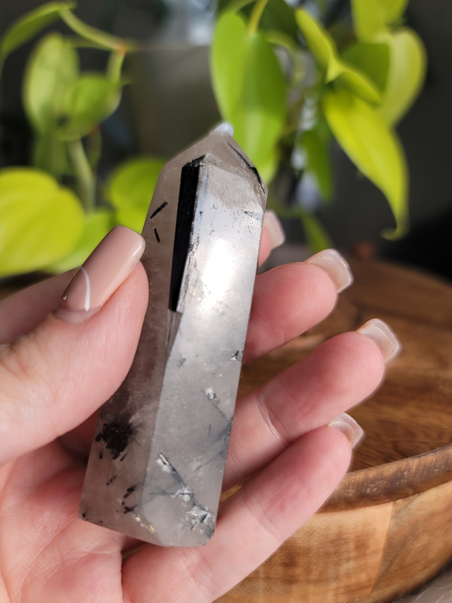 Black Tourmaline Quartz Point: Harmonious Protection and Grounding Energy 3"