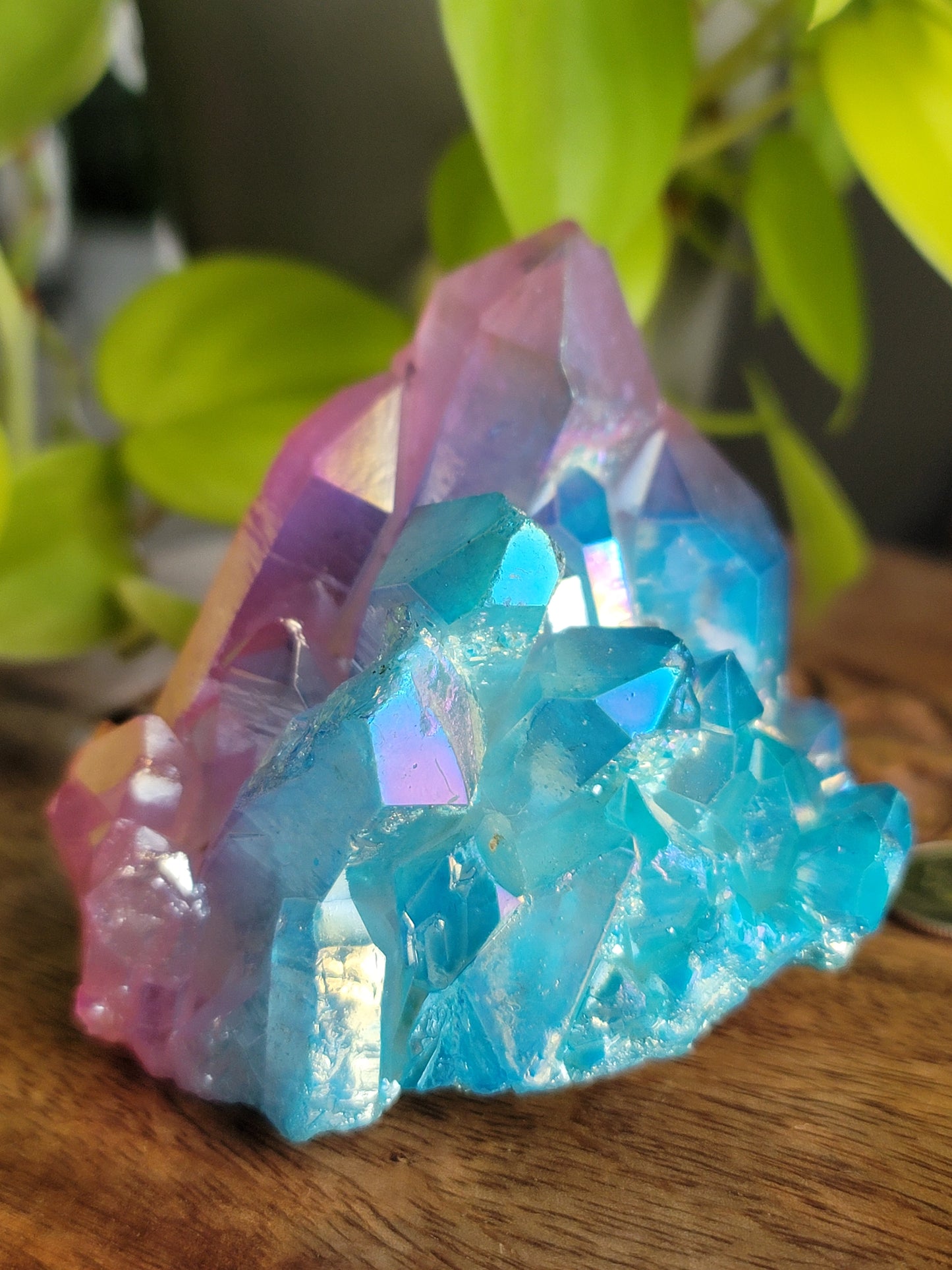 Aura Quartz Cluster: Radiant Spectrum of Healing Energies 3"