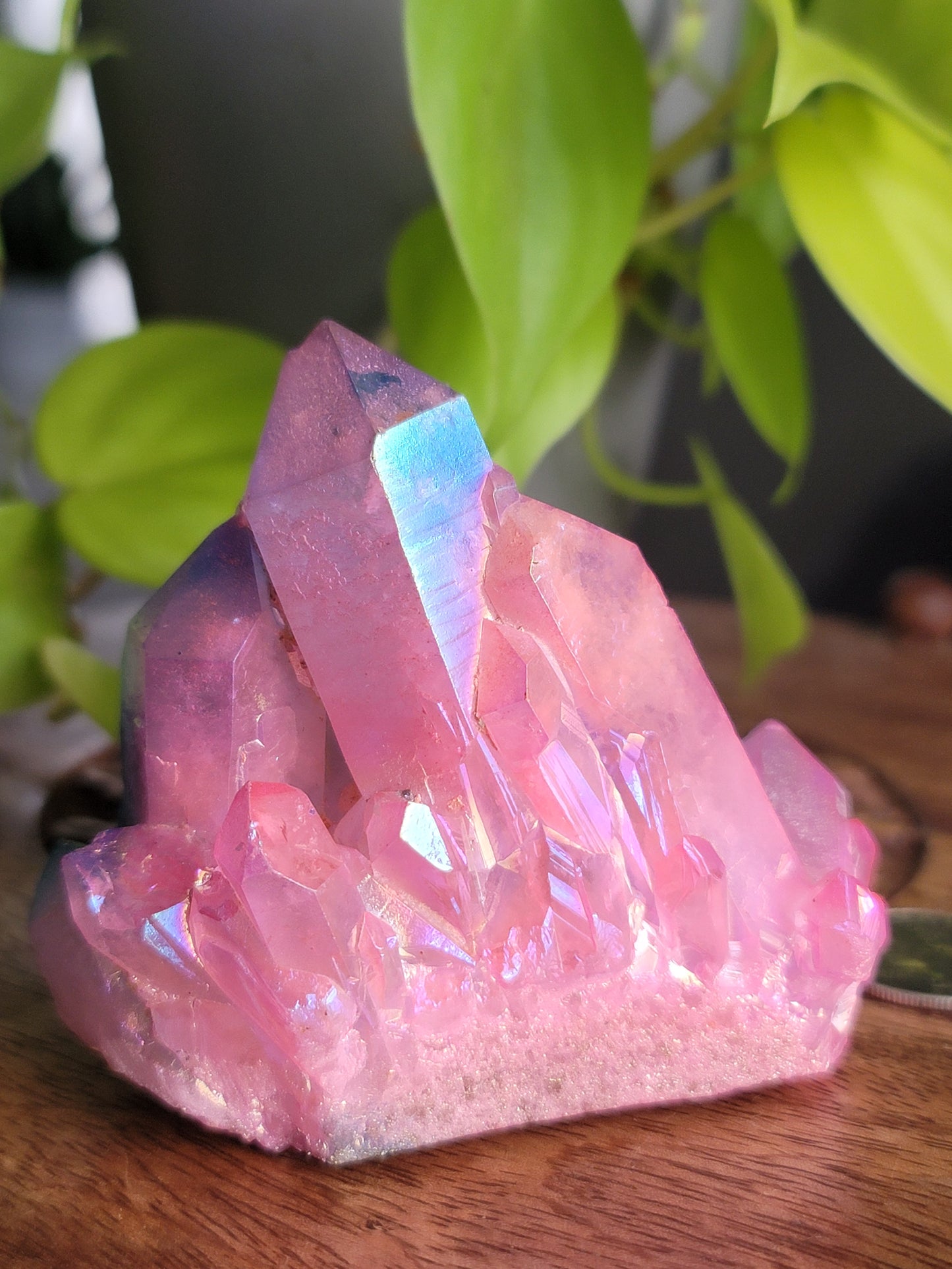 Aura Quartz Cluster: Radiant Spectrum of Healing Energies 3"