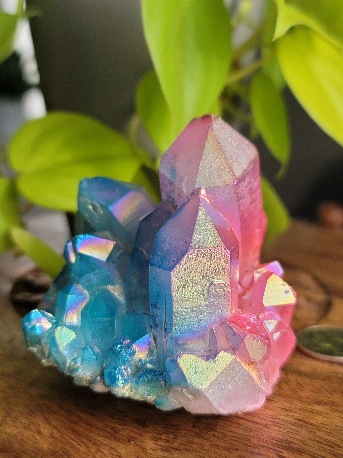 Aura Quartz Cluster: Radiant Spectrum of Healing Energies 3"