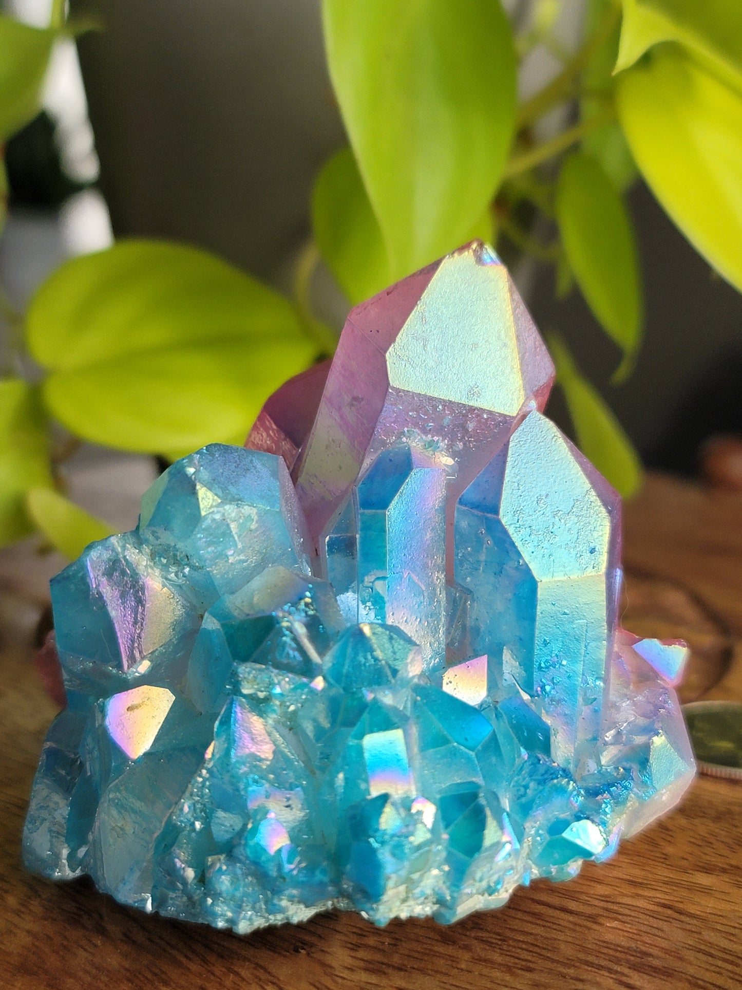 Aura Quartz Cluster: Radiant Spectrum of Healing Energies 3"