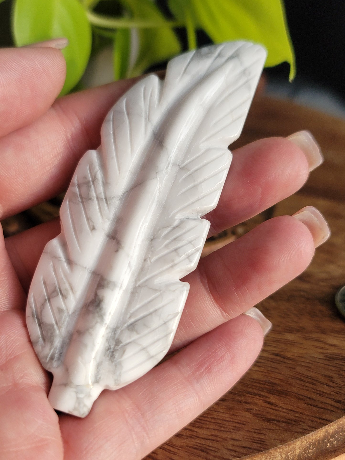 Howlite feather
