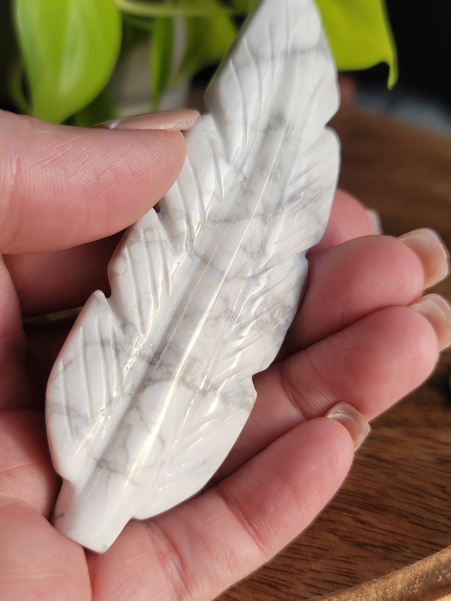 Howlite feather