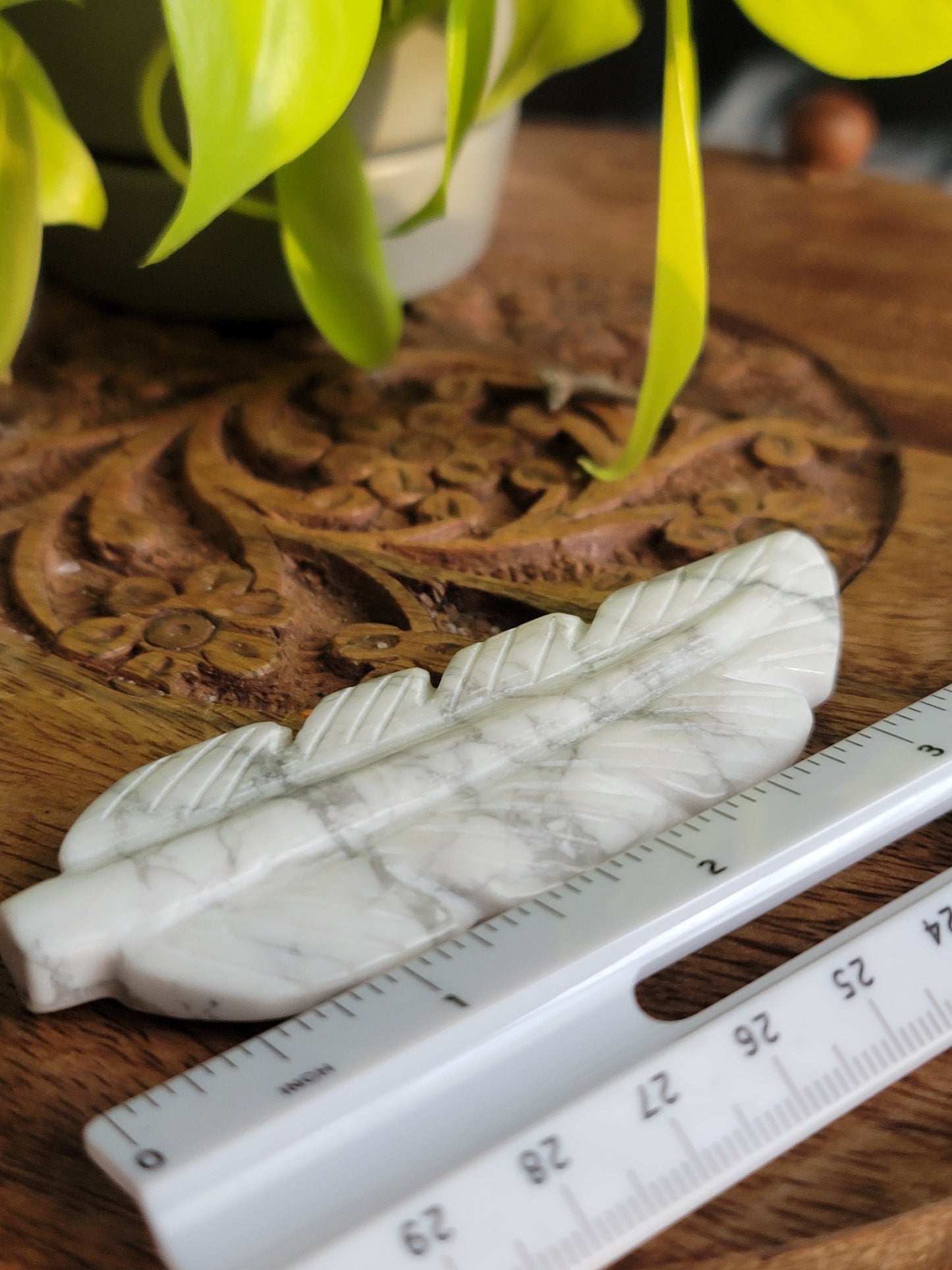 Howlite feather