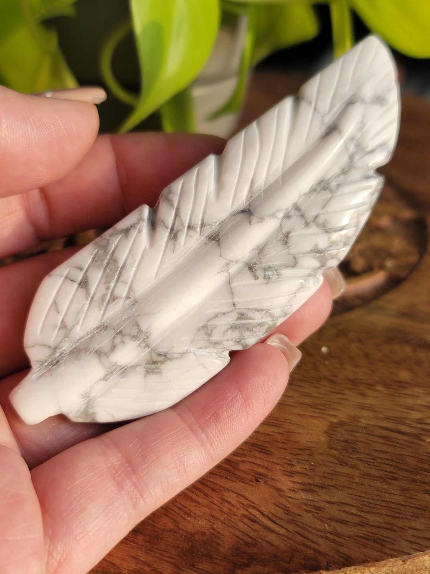 Howlite feather