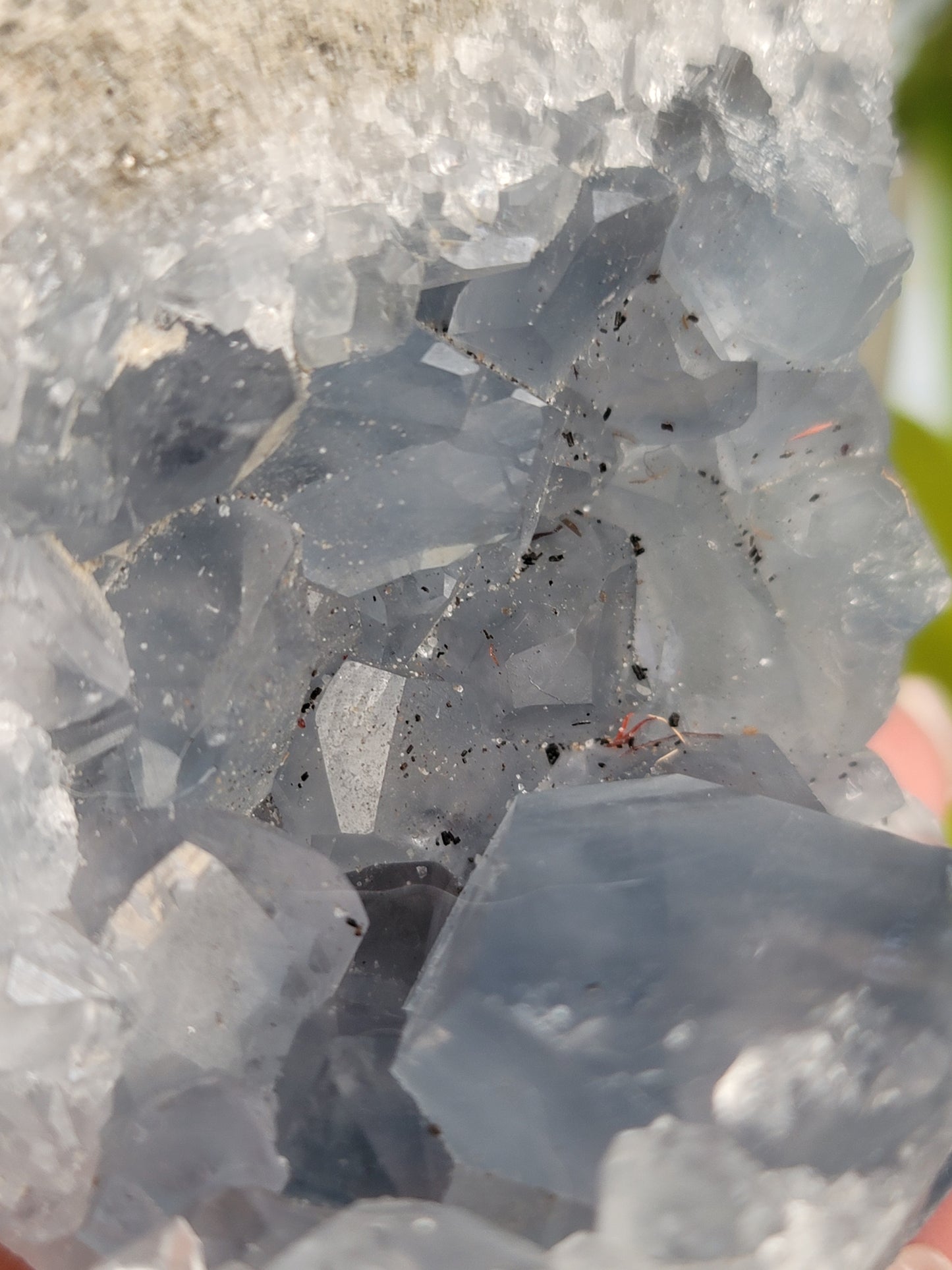 Blue Celestite Geode – Peace, Intuition & Angelic Energy