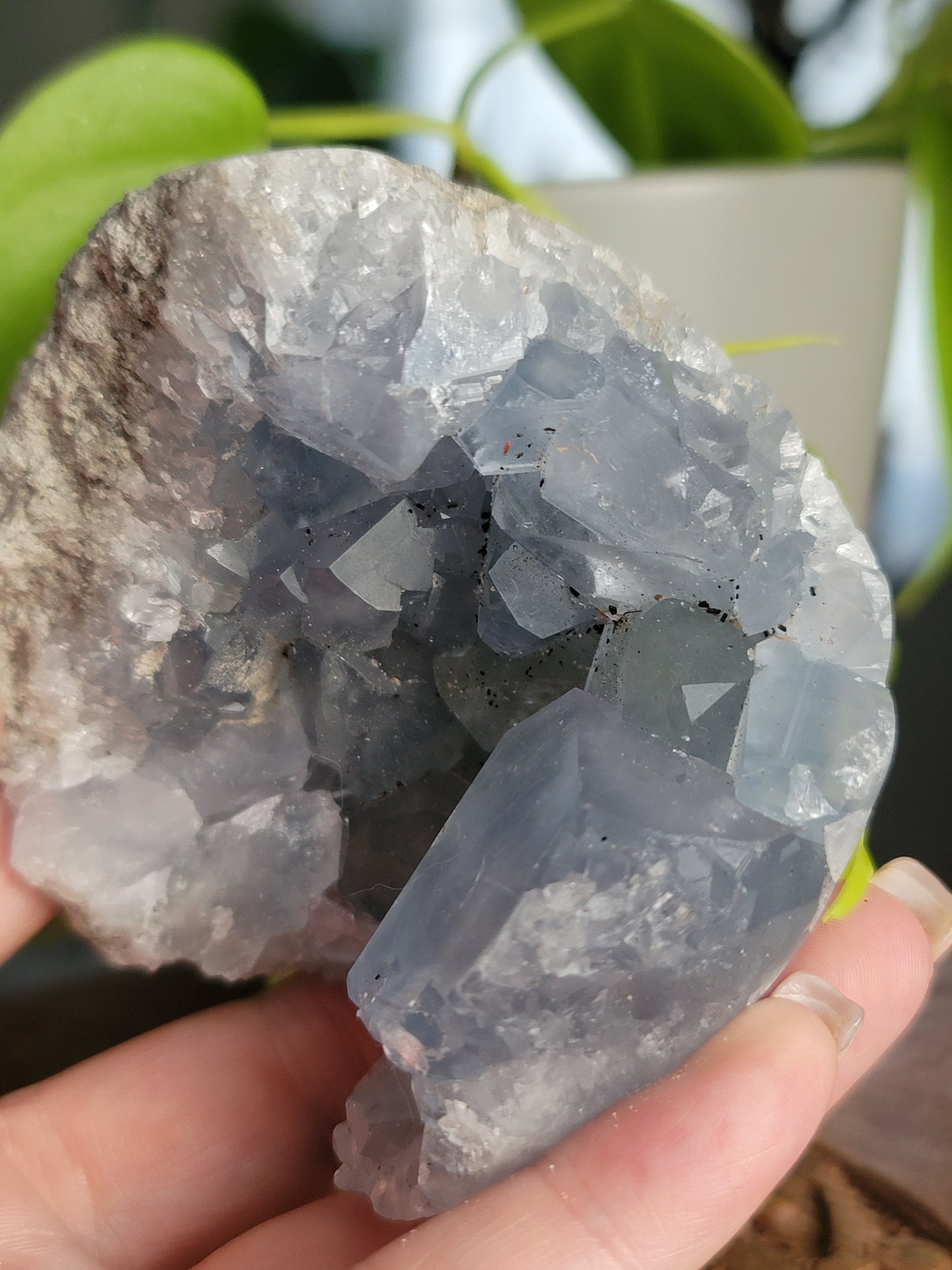 Blue Celestite Geode – Peace, Intuition & Angelic Energy