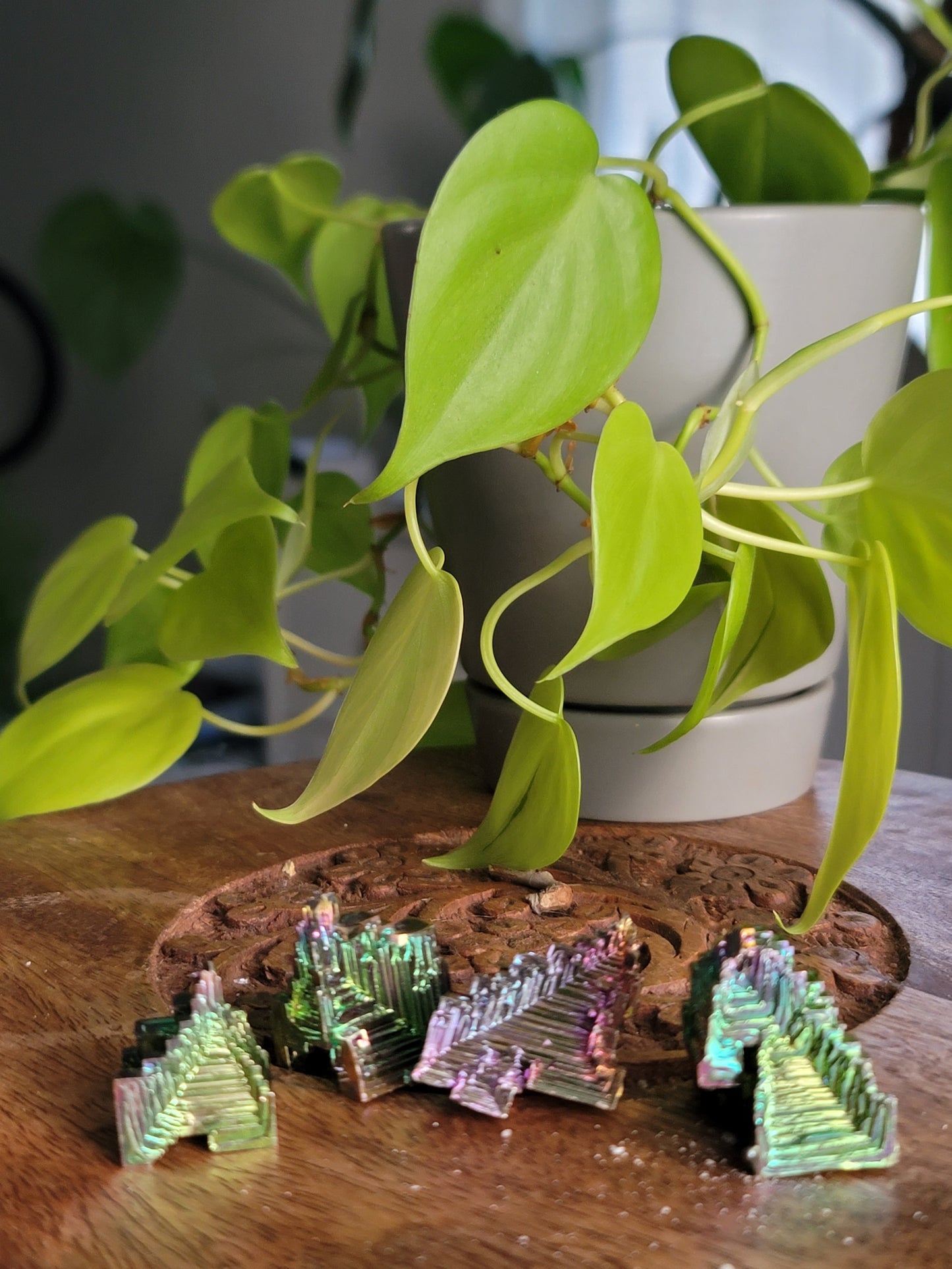 Bismuth: A Vibrant Display of Natural Beauty