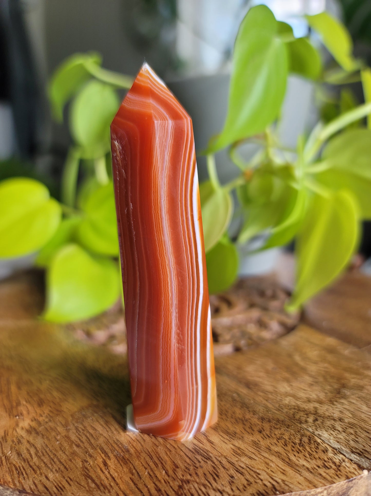 Carnelian Point: Fiery Vitality and Creative Passion