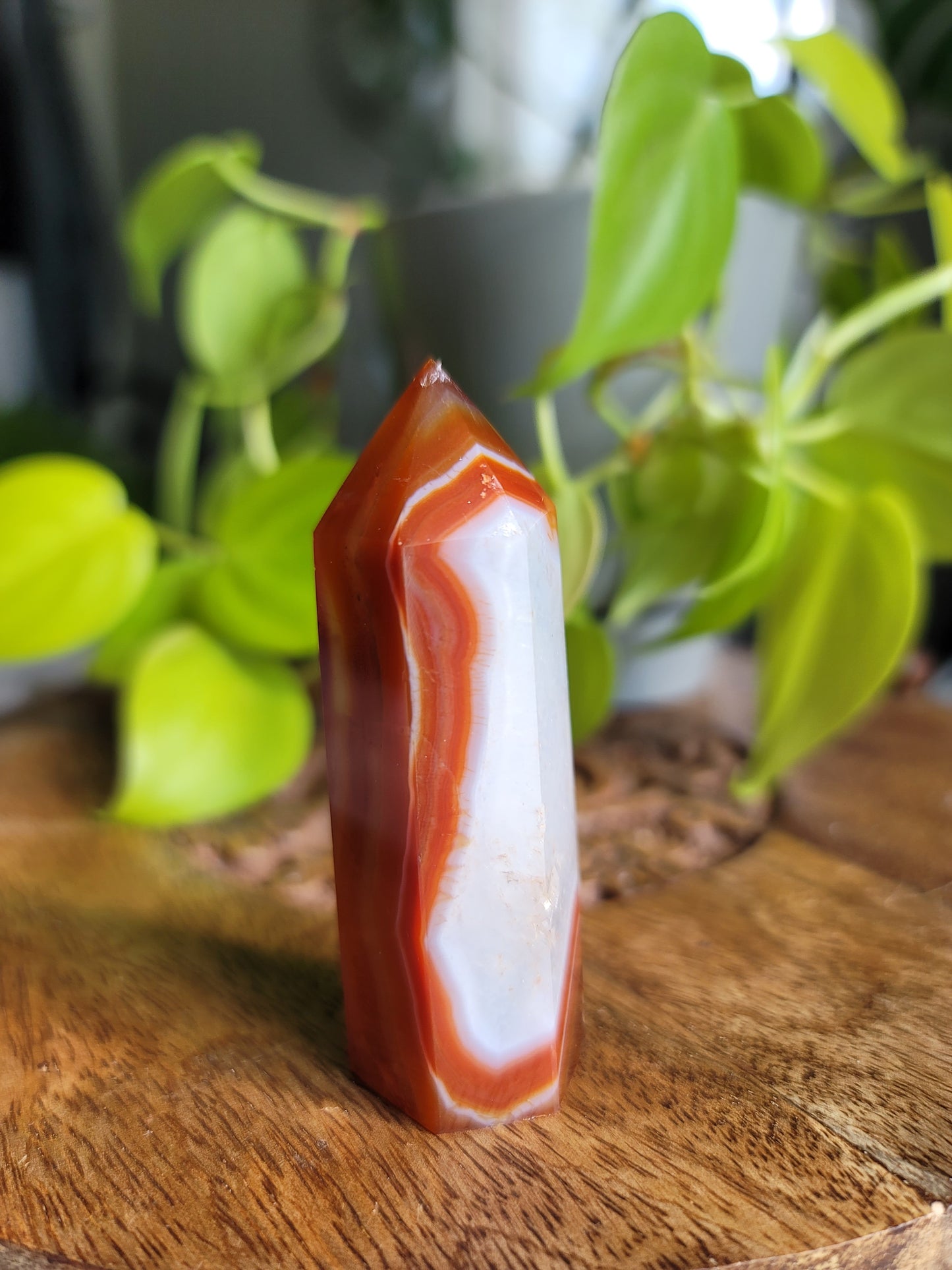 Carnelian Point: Fiery Vitality and Creative Passion
