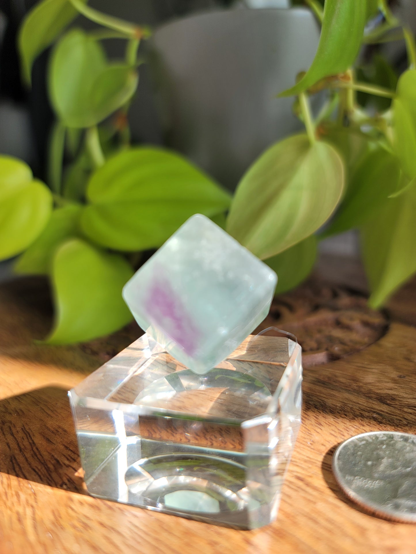 Fluorite Mineral Cube: Nature's Geometric Elegance