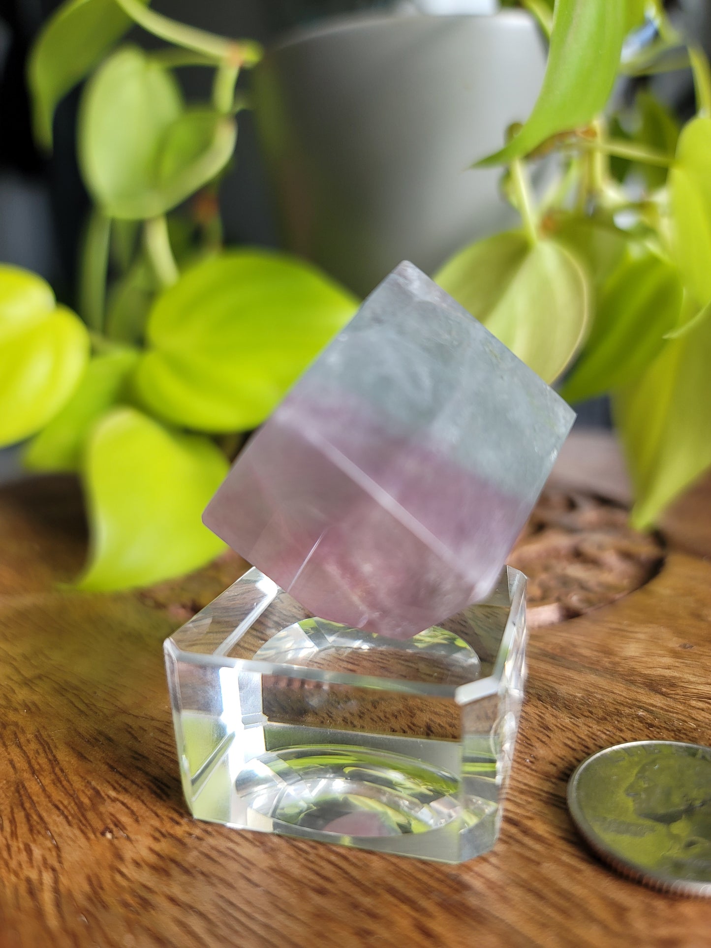 Fluorite Mineral Cube: Nature's Geometric Elegance
