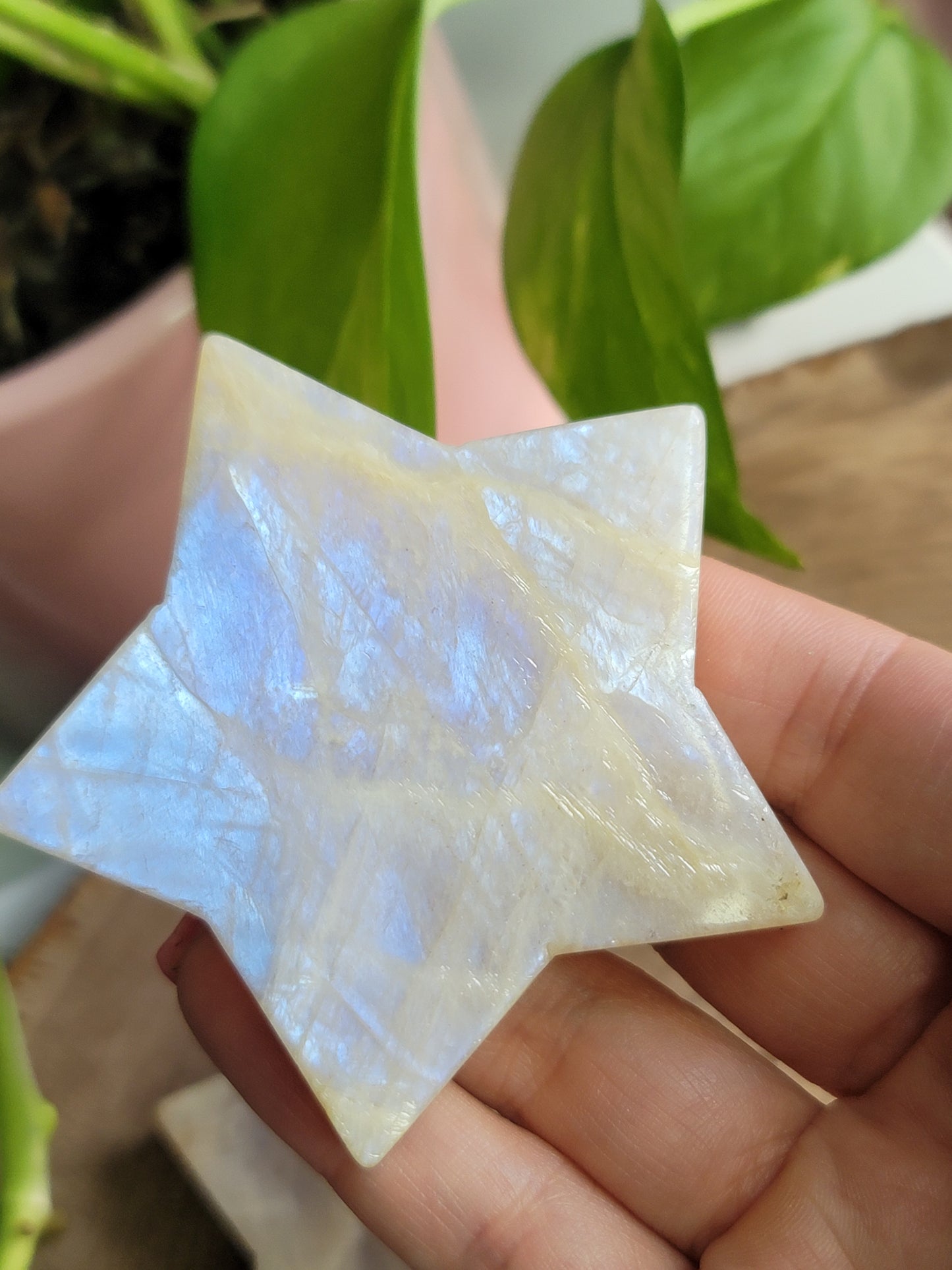 Moonstone Star: Celestial Illumination and Divine Feminine Energy