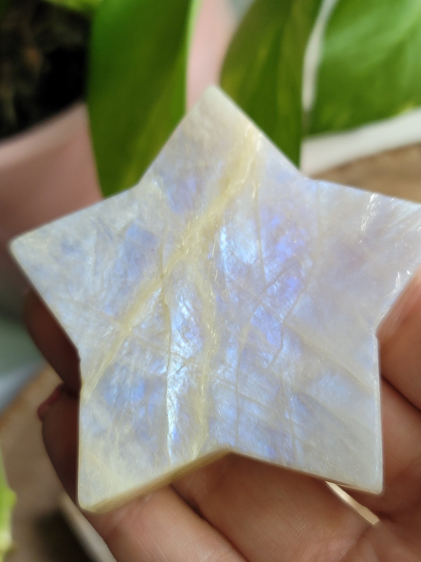 Moonstone Star: Celestial Illumination and Divine Feminine Energy