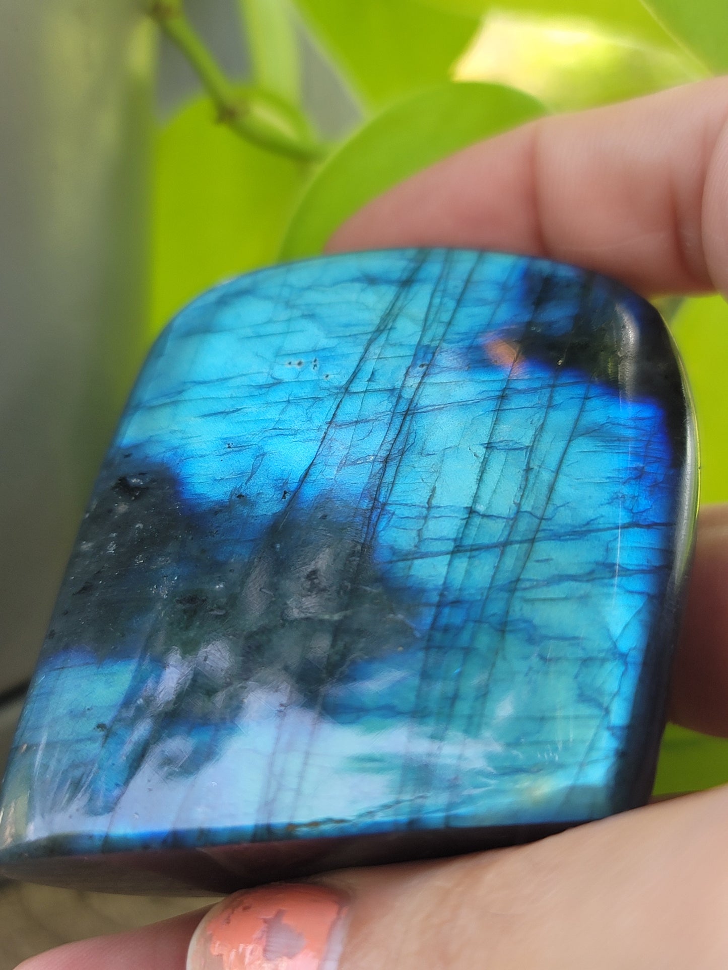 High-Flash Labradorite Freeform – Transformation, Intuition & Magic
