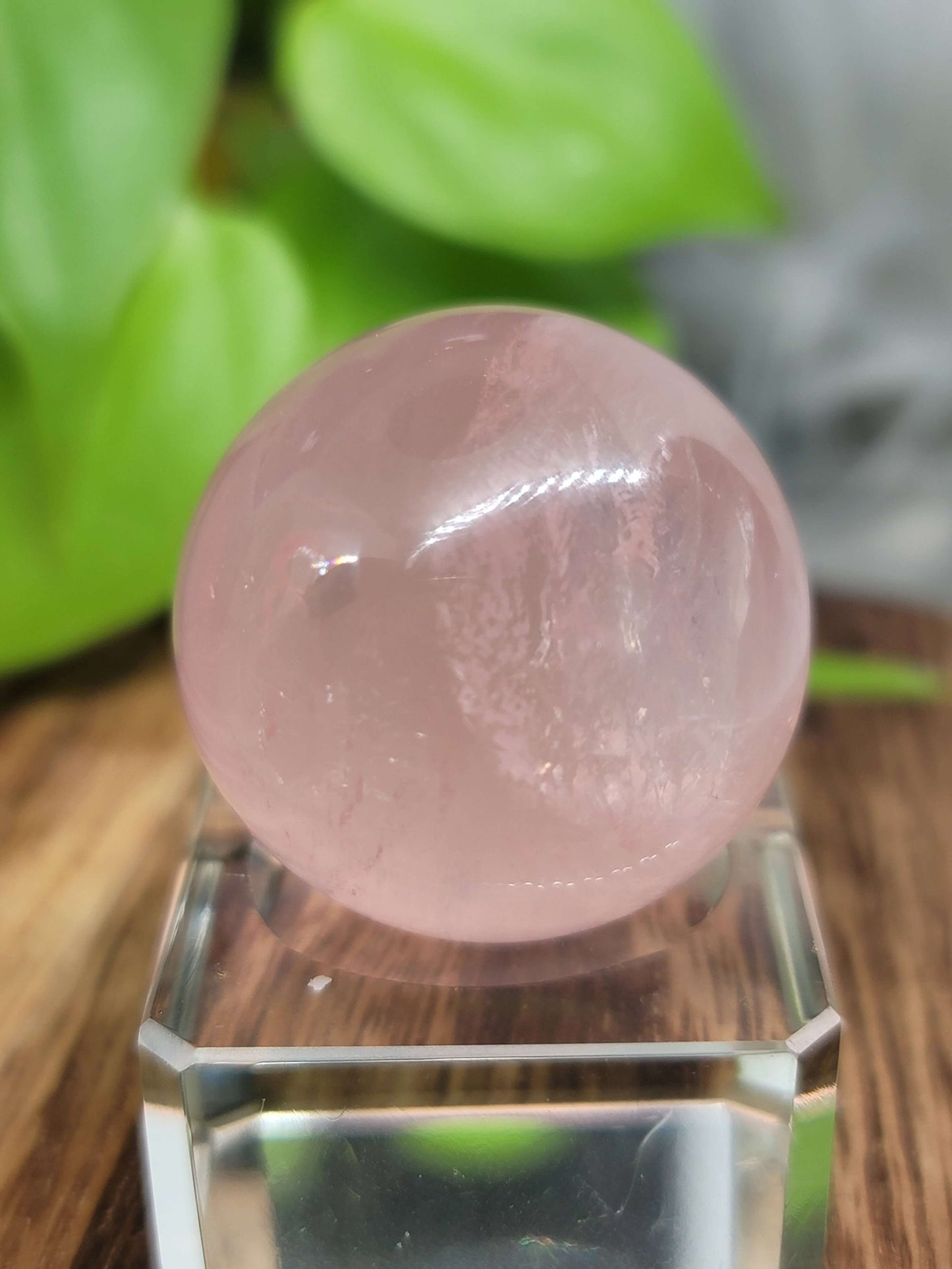 Star Flash Rose Quartz Sphere – Self-Love, Healing & Heart Chakra Energy