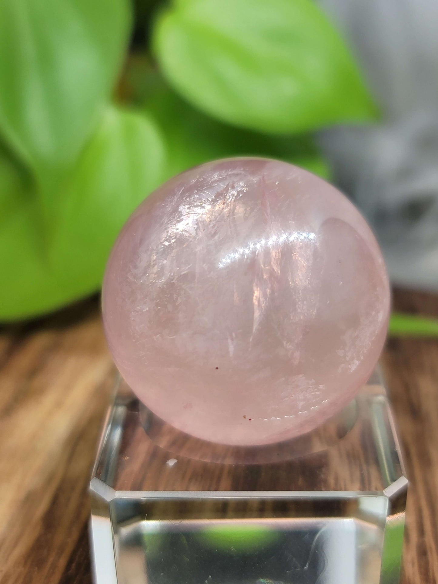 Star Flash Rose Quartz Sphere – Self-Love, Healing & Heart Chakra Energy
