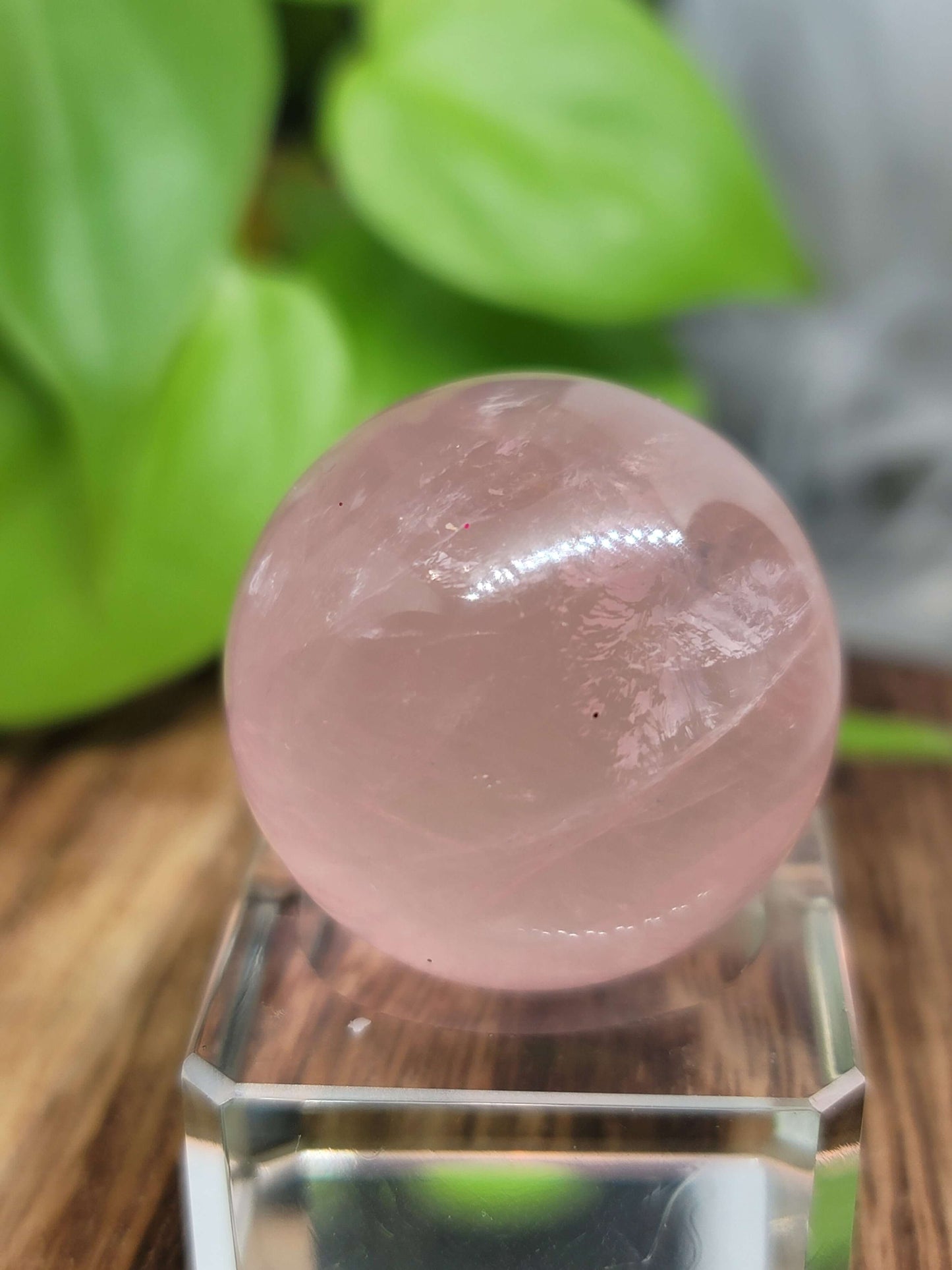 Star Flash Rose Quartz Sphere – Self-Love, Healing & Heart Chakra Energy