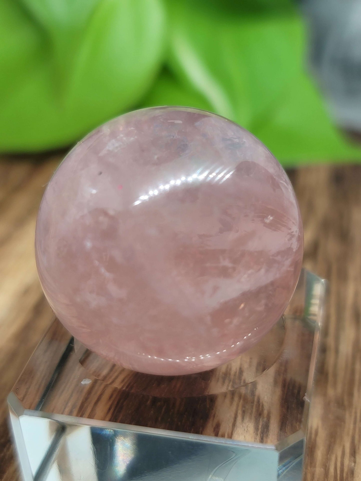 Star Flash Rose Quartz Sphere – Self-Love, Healing & Heart Chakra Energy