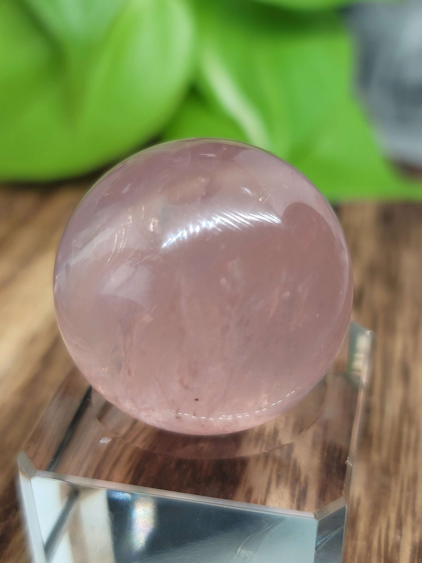 Star Flash Rose Quartz Sphere – Self-Love, Healing & Heart Chakra Energy