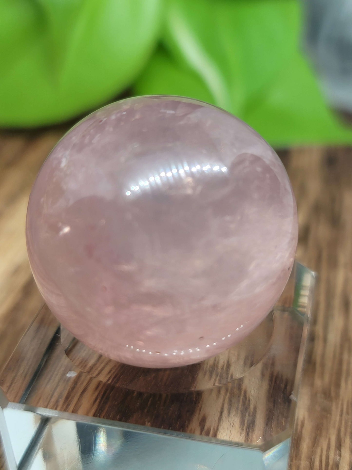 Star Flash Rose Quartz Sphere – Self-Love, Healing & Heart Chakra Energy