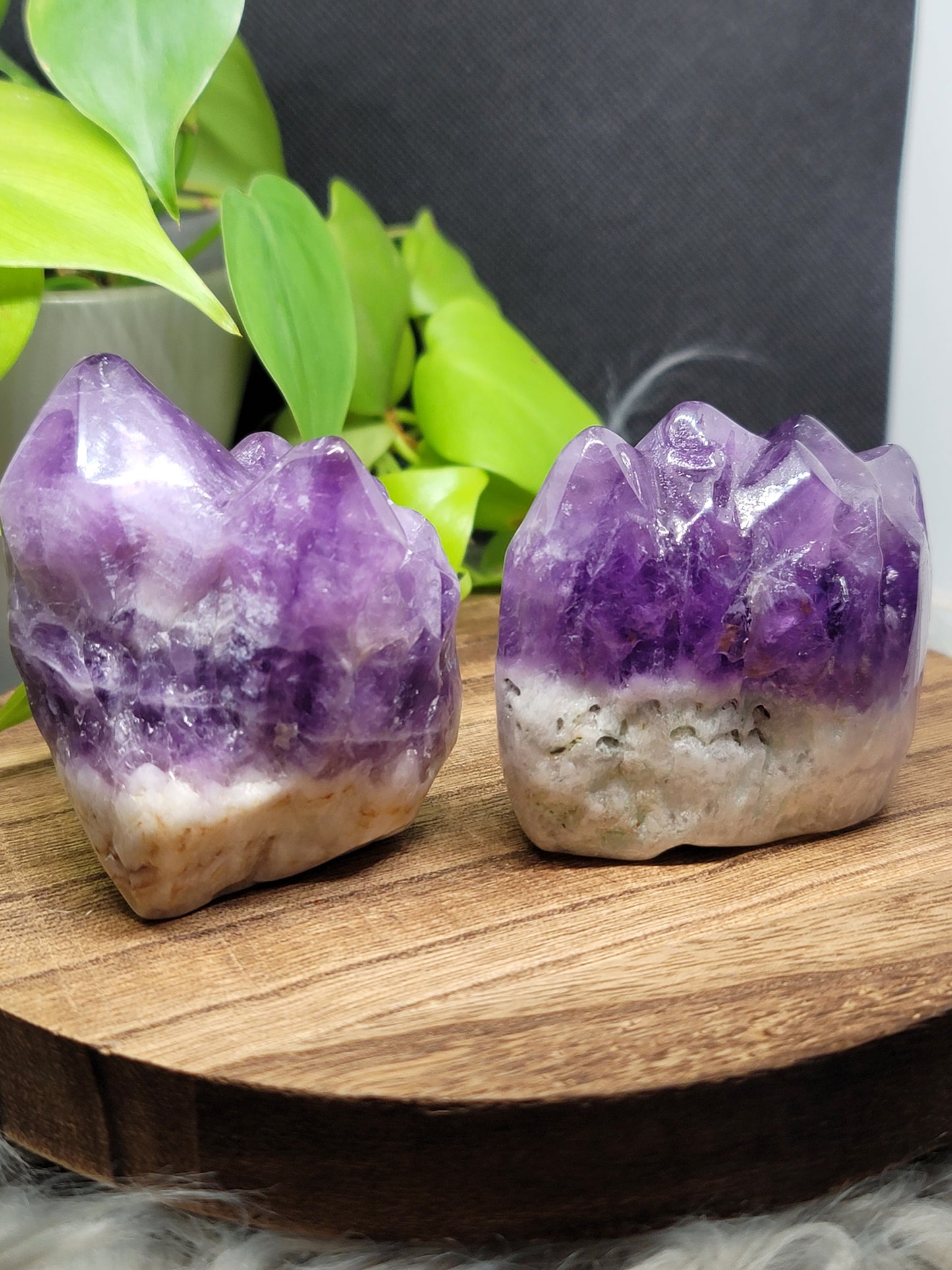 Amethyst Hedgehog: Natural Serenity and Protective Energy