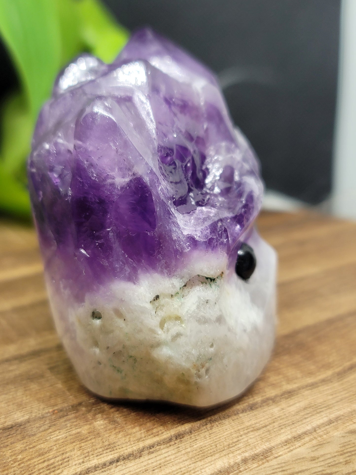 Amethyst Hedgehog: Natural Serenity and Protective Energy