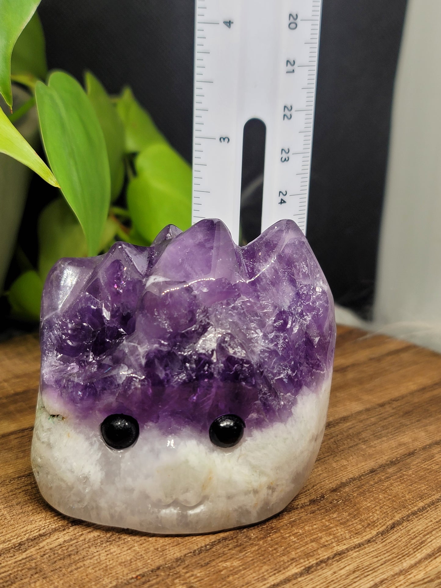 Amethyst Hedgehog: Natural Serenity and Protective Energy