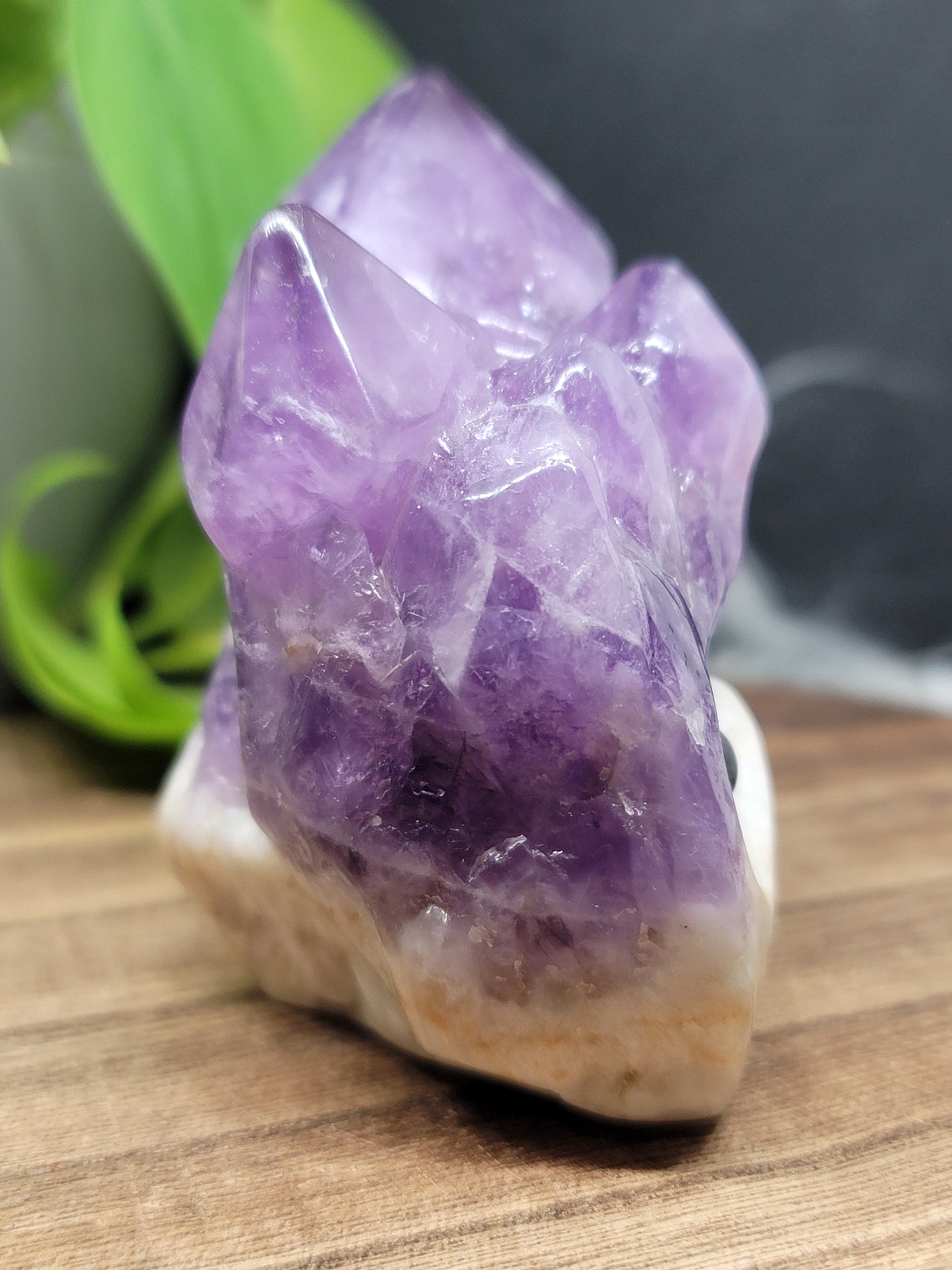 Amethyst Hedgehog: Natural Serenity and Protective Energy