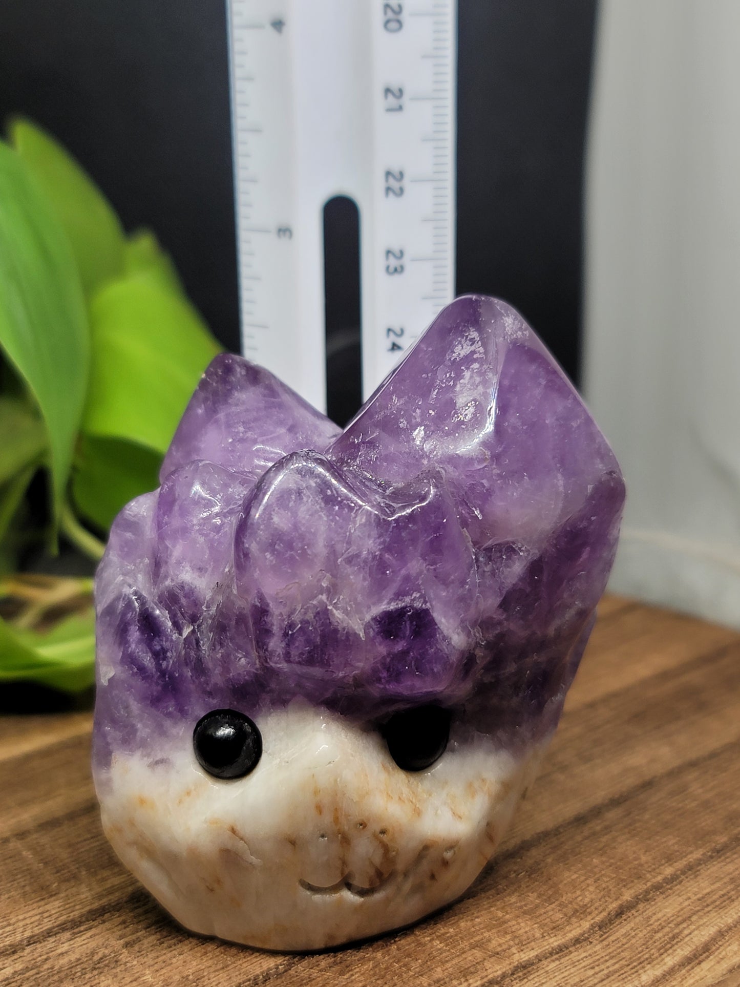 Amethyst Hedgehog: Natural Serenity and Protective Energy