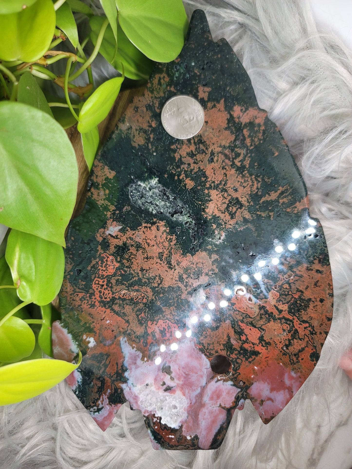 Ocean Jasper Skull Carving with Druzy and Stand: Deep Healing and Insight