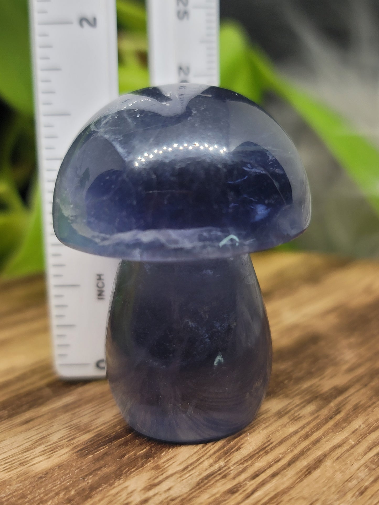 Fluorite Mushroom: Clarity and Harmonious Balance