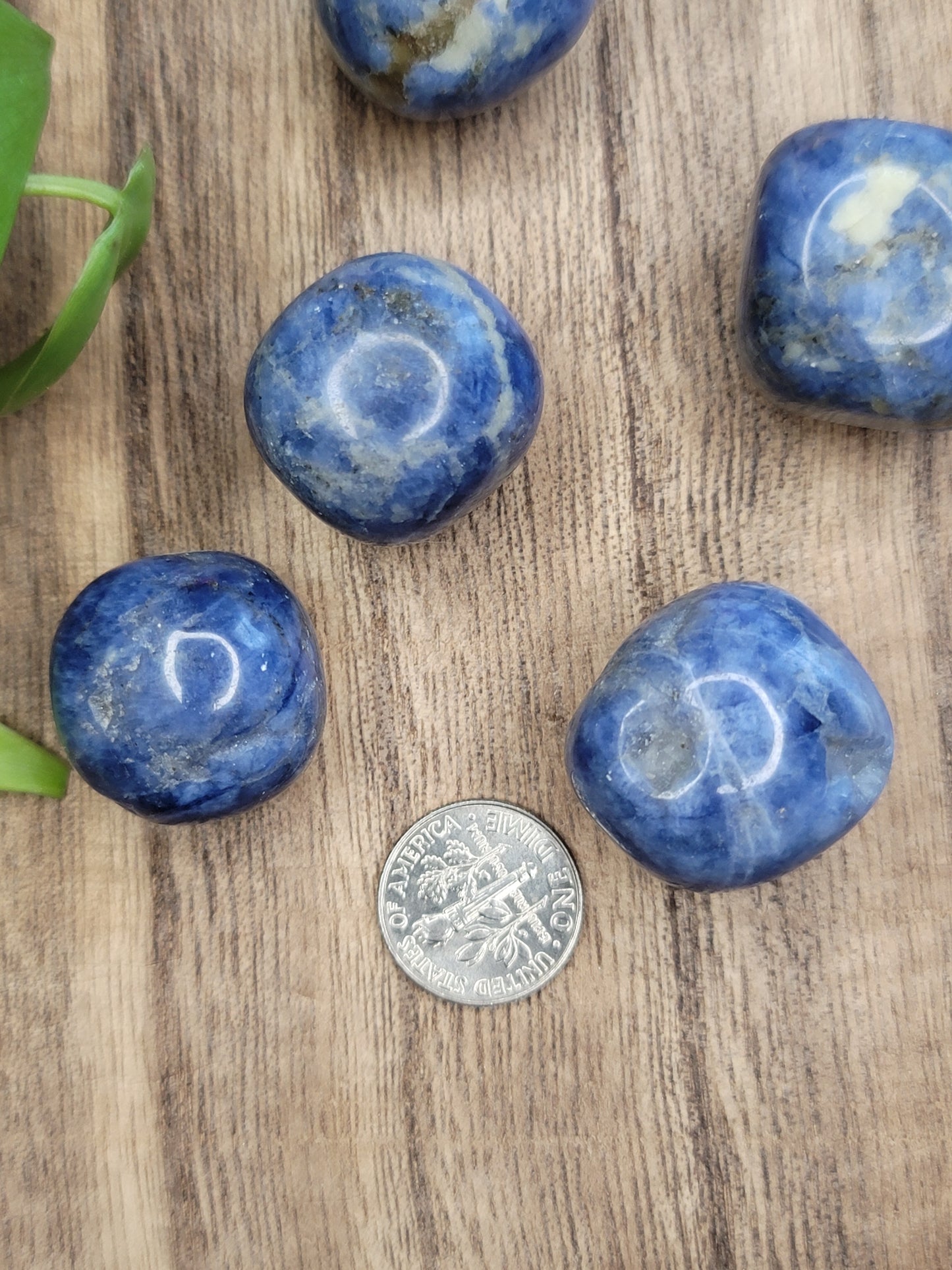 Blue Sodalite Tumble – Clarity, Confidence & Truth